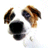 monroefiredog1's Avatar