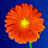 rnforkids1002's Avatar